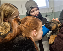 2026 02 13 12h36 521