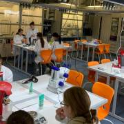 Girls Day Academy – Ingenieurinnen, Forscherinnen, Gamedesignerinnen aufgepasst